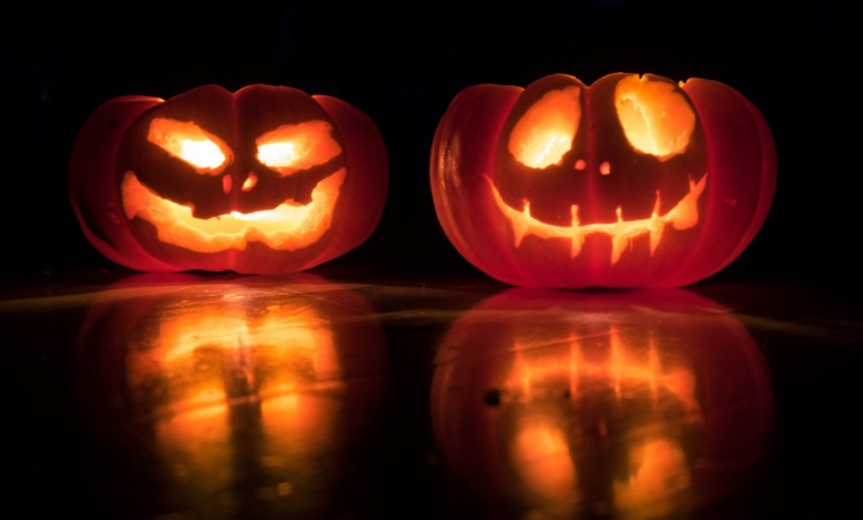 南瓜根的功效與作用 南瓜根的營養(yǎng)價值 南瓜根的功效與作用 南瓜根的營養(yǎng)價值