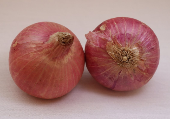 水洋蔥的功效與作用 水洋蔥的功效和藥用價值 水洋蔥的功效與作用 水洋蔥的功效和藥用價值