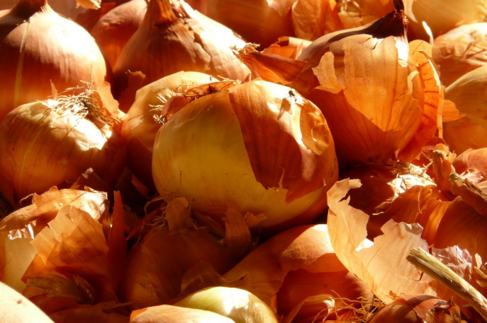 水洋蔥煮水喝功效 水洋蔥泡茶對(duì)前列腺好嗎 水洋蔥煮水喝功效 水洋蔥泡茶對(duì)前列腺好嗎