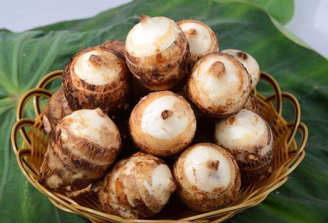 芋子的作用與功效與作用 芋子的作用與功效與作用禁忌 芋子的作用與功效與作用 芋子的作用與功效與作用禁忌