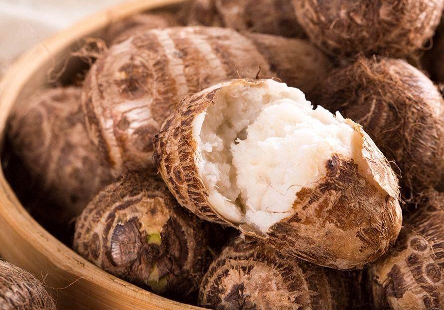 芋子的作用與功效與作用 芋子的作用與功效與作用禁忌 芋子的作用與功效與作用 芋子的作用與功效與作用禁忌