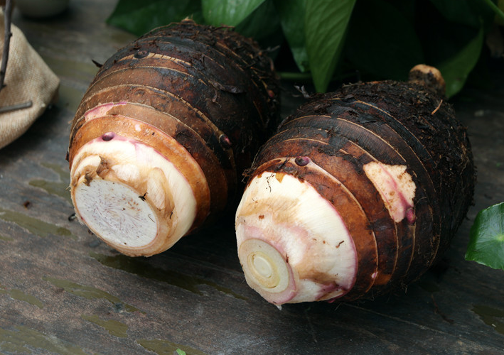 芋子和芋頭的區(qū)別 芋子和魔芋區(qū)別 芋子和芋頭的區(qū)別 芋子和魔芋區(qū)別
