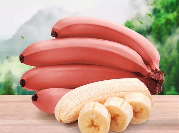 紅香蕉硬硬的是不是沒(méi)熟 紅香蕉怎樣催熟 紅香蕉硬硬的是不是沒(méi)熟 紅香蕉怎樣催熟