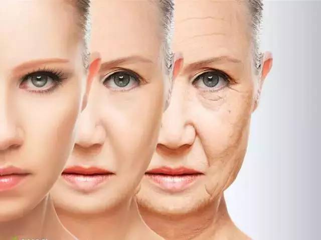 抗皺紋的方法 抗皺紋的食物有哪些 抗皺紋的方法 抗皺紋的食物有哪些