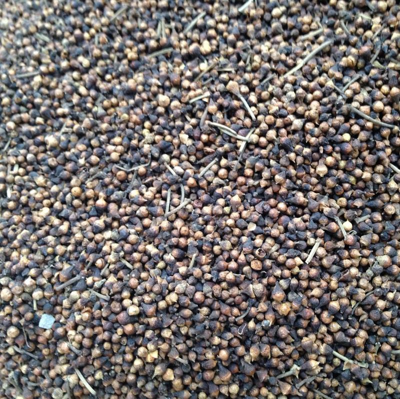 水翁花泡水喝的功效 ?水翁花可以經(jīng)常飲嗎 水翁花泡水喝的功效 ?水翁花可以經(jīng)常飲嗎