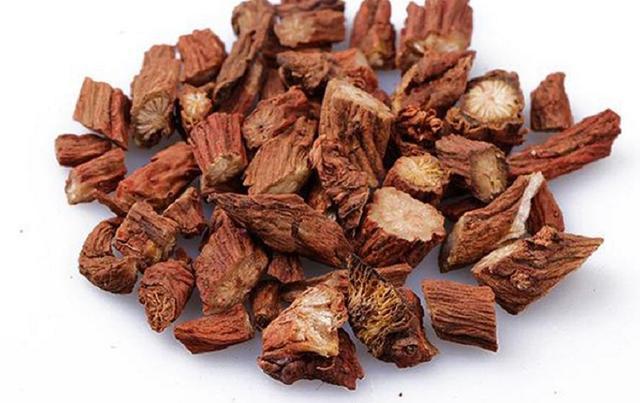 丹參可以長期泡水喝嗎 丹參長期泡水喝有副作用嗎 丹參可以長期泡水喝嗎 丹參長期泡水喝有副作用嗎