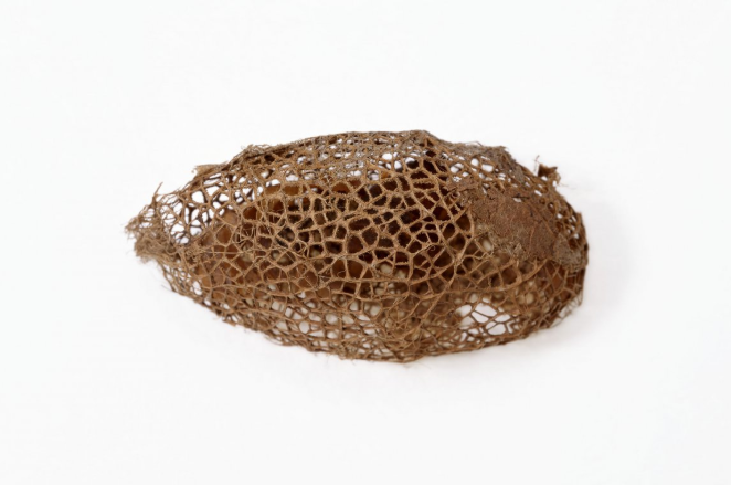 馬蜂窩泡酒有什么功效 馬蜂窩泡酒的功效和作用 馬蜂窩泡酒有什么功效 馬蜂窩泡酒的功效和作用