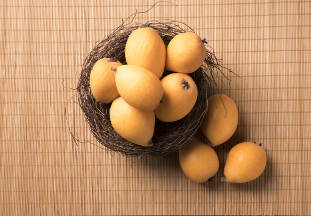 枇杷可以和牛奶一起吃嗎 枇杷可以和牛奶一起榨汁嗎 枇杷可以和牛奶一起吃嗎 枇杷可以和牛奶一起榨汁嗎