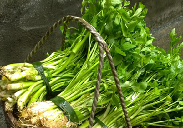 水芹菜是什么樣的 水芹菜有什么營養(yǎng)價值 水芹菜是什么樣的 水芹菜有什么營養(yǎng)價值