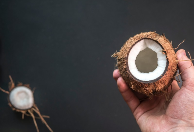 椰子肉的作用和功效與作用 椰子肉的副作用 椰子肉的作用和功效與作用 椰子肉的副作用