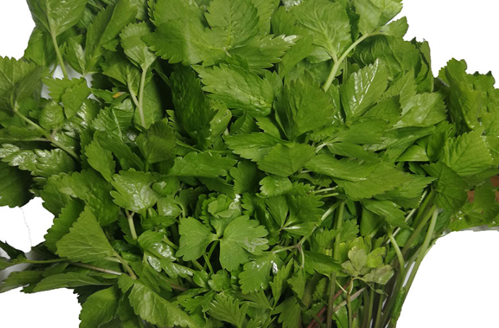 小葉芹怎么做好吃 小葉芹野菜有毒嗎 小葉芹怎么做好吃 小葉芹野菜有毒嗎