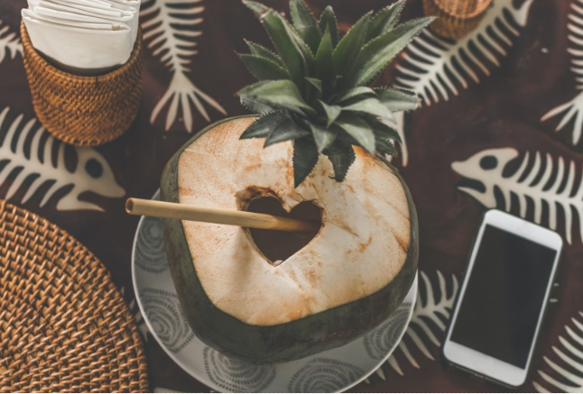 干椰子肉可以直接吃嗎 干椰子肉怎么吃才好吃 干椰子肉可以直接吃嗎 干椰子肉怎么吃才好吃