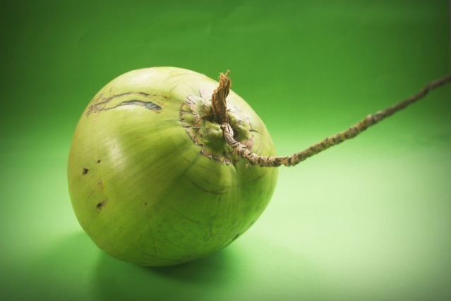 軟的椰子肉是什么椰子品種 軟的椰子肉可以煲湯嗎 軟的椰子肉是什么椰子品種 軟的椰子肉可以煲湯嗎