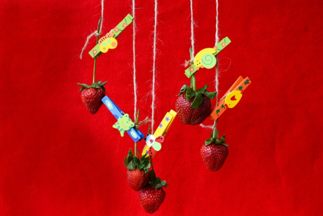 草莓有什么營(yíng)養(yǎng)價(jià)值 吃草莓有什么好處和功能