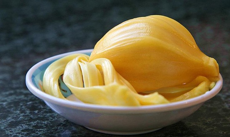 菠蘿蜜核的功效與作用、禁忌和食用方法