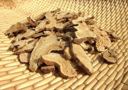 生白術(shù)與炒白術(shù)的功效區(qū)別 生白術(shù)是熱性還是涼性 生白術(shù)與炒白術(shù)的功效區(qū)別 生白術(shù)是熱性還是涼性