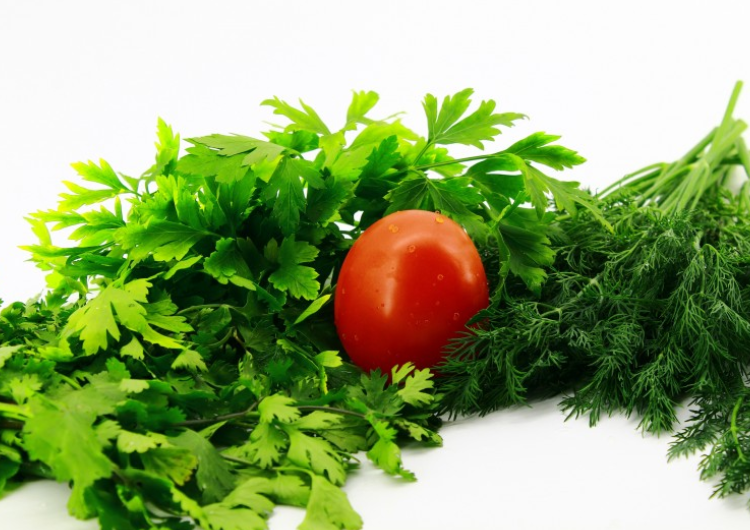 假香菜功效與作用 假香菜的藥用價值 假香菜功效與作用 假香菜的藥用價值