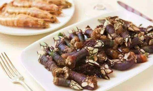 鵝頸藤壺是什么東西 鵝頸藤壺和佛手螺一樣嗎 鵝頸藤壺是什么東西 鵝頸藤壺和佛手螺一樣嗎