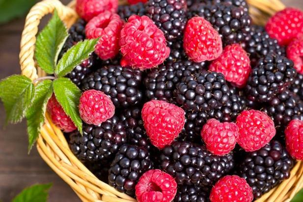 吃桑葚有助于睡眠嗎 失眠吃桑葚有用嗎 吃桑葚有助于睡眠嗎 失眠吃桑葚有用嗎