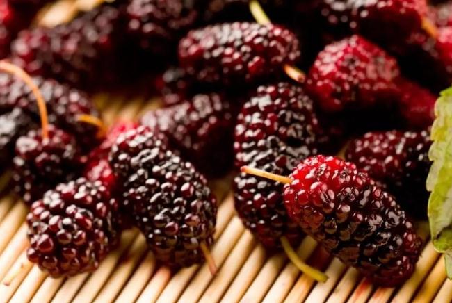 桑葚不洗可以吃嗎 桑葚吃之前要洗嗎 桑葚不洗可以吃嗎 桑葚吃之前要洗嗎