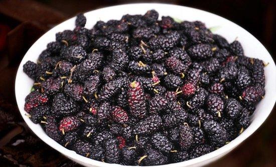 桑葚要泡鹽水嗎 要泡多長時(shí)間