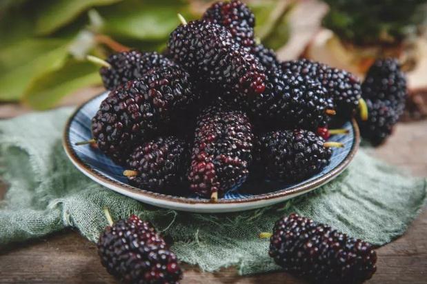 吃桑葚有助于睡眠嗎 失眠吃桑葚有用嗎 吃桑葚有助于睡眠嗎 失眠吃桑葚有用嗎