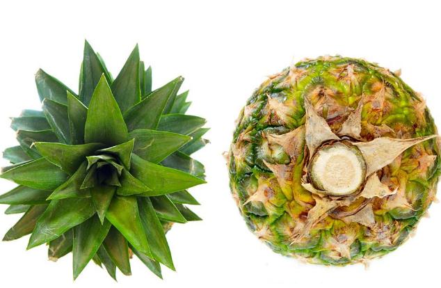 菠蘿能去味嗎 菠蘿能去除冰箱里的異味嗎 菠蘿能去味嗎 菠蘿能去除冰箱里的異味嗎