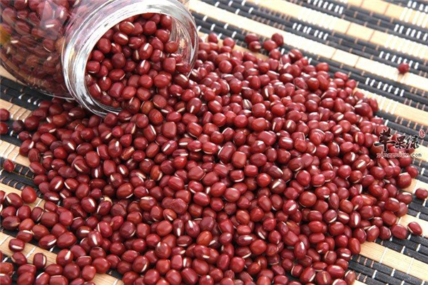 紅豆和赤小豆有什么區(qū)別 紅豆和赤小豆哪個補(bǔ)血效果好 紅豆和赤小豆有什么區(qū)別 紅豆和赤小豆哪個補(bǔ)血效果好