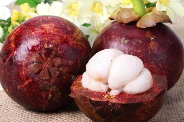 山竹有點透明了能吃嗎 山竹有點透明是壞了嗎 山竹有點透明了能吃嗎 山竹有點透明是壞了嗎