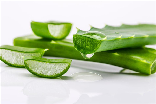 蘆薈能吃嗎 蘆薈對(duì)人體有什么好處 蘆薈能吃嗎 蘆薈對(duì)人體有什么好處