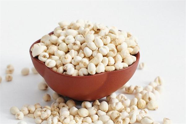 川貝和川貝母一樣嗎 川貝苦嗎 川貝和川貝母一樣嗎 川貝苦嗎