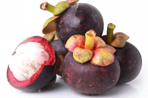 山竹有螞蟻正常嗎 山竹有螞蟻是怎么回事 山竹有螞蟻正常嗎 山竹有螞蟻是怎么回事