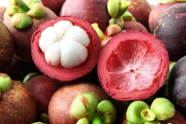 山竹有螞蟻正常嗎 山竹有螞蟻是怎么回事 山竹有螞蟻正常嗎 山竹有螞蟻是怎么回事