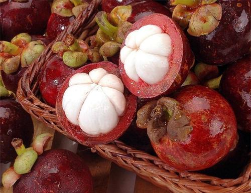 山竹是怎么長(zhǎng)的長(zhǎng)在哪里 山竹長(zhǎng)在樹上還是地上 山竹是怎么長(zhǎng)的長(zhǎng)在哪里 山竹長(zhǎng)在樹上還是地上