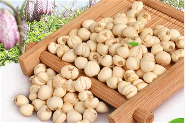 川貝和川貝母一樣嗎 川貝苦嗎 川貝和川貝母一樣嗎 川貝苦嗎