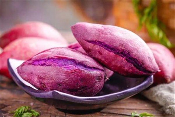 紫薯發(fā)芽了還能吃嗎 紫薯如何看出是否壞了 紫薯發(fā)芽了還能吃嗎 紫薯如何看出是否壞了
