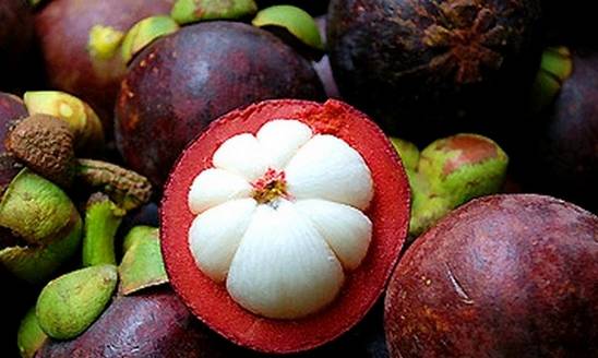 山竹可以保存幾天 山竹放冰箱能放多久 山竹可以保存幾天 山竹放冰箱能放多久