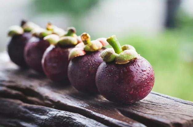 山竹能和芒果一塊兒吃嗎 山竹能和牛奶一起吃嗎 山竹能和芒果一塊兒吃嗎 山竹能和牛奶一起吃嗎