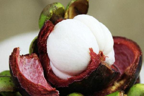 山竹殼太硬打不開是因?yàn)槭裁?山竹殼太硬是壞了嗎 山竹殼太硬打不開是因?yàn)槭裁?山竹殼太硬是壞了嗎