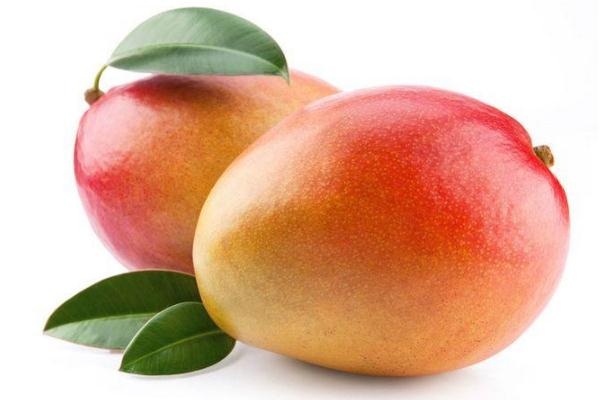 芒果能煮熟吃嗎 芒果煮熟吃有什么好處 芒果能煮熟吃嗎 芒果煮熟吃有什么好處