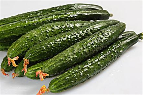 黃瓜發(fā)苦能吃嗎 黃瓜怎么挑選 黃瓜發(fā)苦能吃嗎 黃瓜怎么挑選