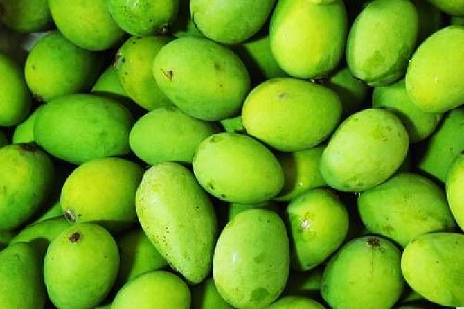 芒果有幾種品種 芒果什么品種的好吃 芒果有幾種品種 芒果什么品種的好吃