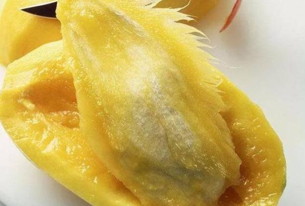 芒果核能不能吃 芒果核的功效與作用 芒果核能不能吃 芒果核的功效與作用