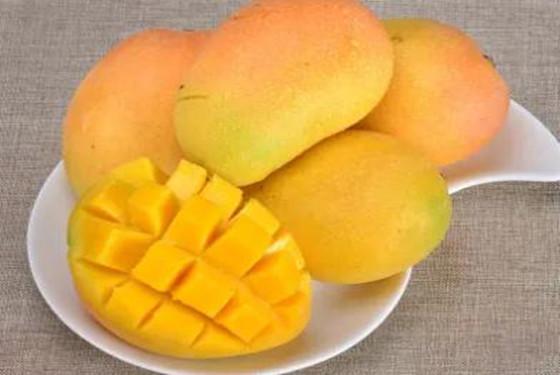 芒果怎么吃不臟手 芒果怎么剝皮不臟手 芒果怎么吃不臟手 芒果怎么剝皮不臟手