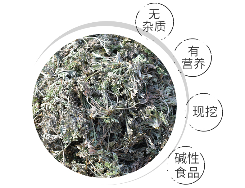 茵陳草有什么功效和作用 茵陳草泡水喝的功效 茵陳草有什么功效和作用 茵陳草泡水喝的功效