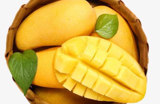 芒果有點(diǎn)生可以吃嗎 芒果有點(diǎn)生怎么催熟 芒果有點(diǎn)生可以吃嗎 芒果有點(diǎn)生怎么催熟