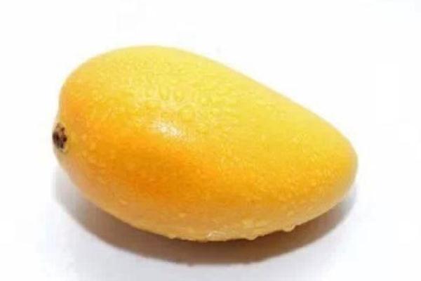 芒果是熱性還是涼性 為什么芒果吃了會(huì)上火 芒果是熱性還是涼性 為什么芒果吃了會(huì)上火