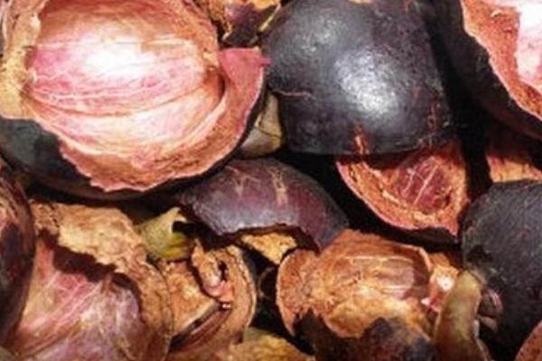 山竹殼有什么藥用價值 吃山竹皮有什么好處 山竹殼有什么藥用價值 吃山竹皮有什么好處