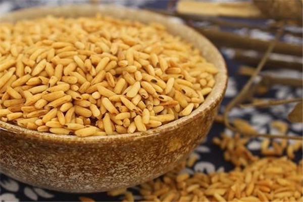 米茶能減肥嗎 米茶的熱量 米茶能減肥嗎 米茶的熱量