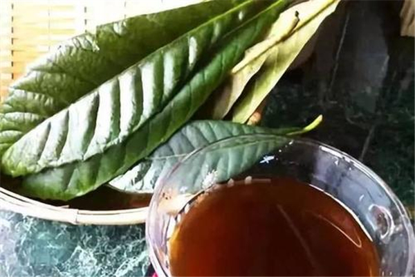 枇杷葉對胃部有刺激嗎 枇杷葉能治胃病嗎 枇杷葉對胃部有刺激嗎 枇杷葉能治胃病嗎